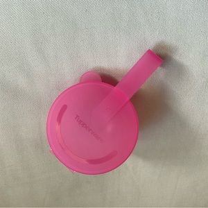 Tupperware Hanging Forget Me Not Onion Tomato Keeper